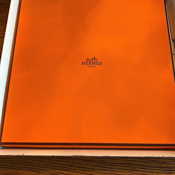 💯HermesSilkLargeScarfONEof a KindFabulousSIGNED Artist+Logo+2HermesBoxes+Ribbon - Picture 14 of 16